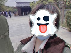 -文成城堡