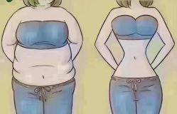 -香薇妮丝·定制减肥·身材管理