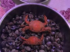 -青岛第三海水浴场