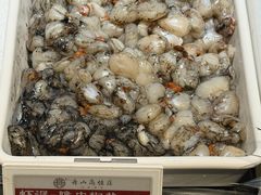 -高佳庄·舟山海鲜(海景旗舰店)