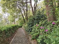 -上海佘山国家森林公园西佘山园