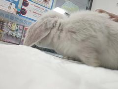 -嘉馨宠物医院·CT影像转诊·心脏科·犬猫全科诊疗中心(下沙大学城院区)