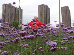 -杭州城北体育公园