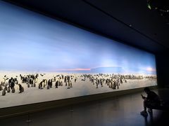 -罗红摄影艺术馆