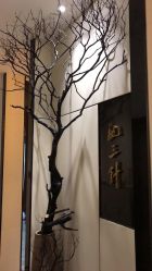 -肥三针腧穴瘦身馆