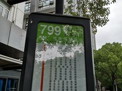 -上海市东方医院(总院)