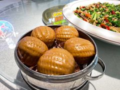 -新概念来凤鱼(璧山店)