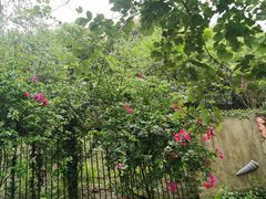 -南宁市凤岭儿童公园