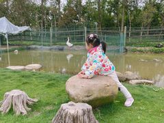 -前小桔亲子创意农场·草莓采摘·露营烧烤