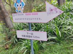 -广州市白云山风景名胜区