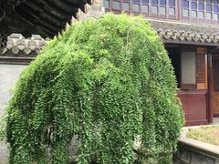 -口岸雕花楼