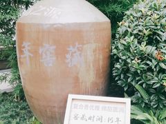 -夜不收荤豆花(大邑总店)
