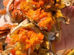 -七的湖·晚芳亭·阳澄湖农家菜·大闸蟹(莲花岛店)
