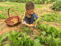 -意大利农场度假村