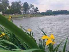 -美兰湖景区