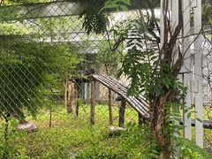 -合肥野生动物园