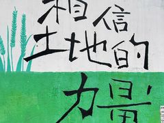 -黄桷坪涂鸦艺术街