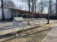 -1982农场