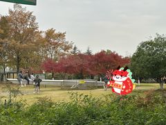 -白塘生态植物园