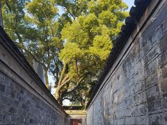 -天一阁博物院