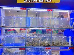 -石锅苗苗鱼(武汉首店)