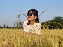 -汉长安城未央宫国家考古遗址公园