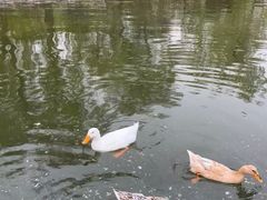 -迎泽公园