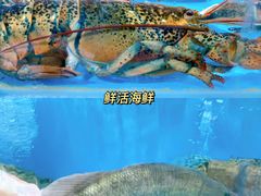 -麦德龙(青羊店)