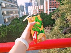 -香港大学
