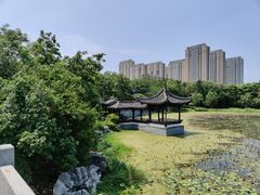 -高子水居