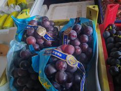 -岳各庄批发市场(西四环中路店)