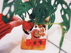 -COMPANION COFFEE小伴咖啡