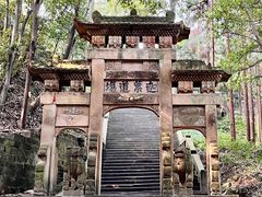 -缙云山景区