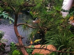 -罗红摄影艺术馆