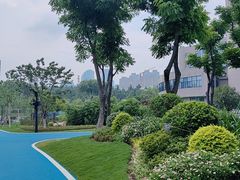 -后襄河公园
