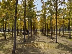 -汉长安城未央宫国家考古遗址公园