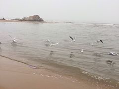 -老虎石海上公园