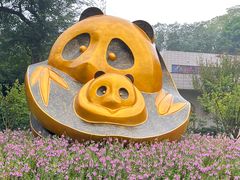 -成都大熊猫繁育研究基地
