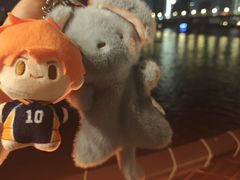 -武汉知音号