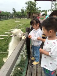 点击看大图 -太湖雪蚕桑文化园