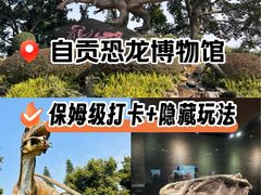 -自贡恐龙博物馆