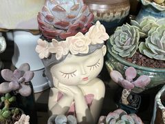 -桂林市花鸟市场