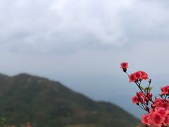 -大围山国家森林公园