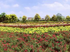 -广东花都香草世界旅游度假区