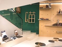 -飞行喵MR PILOT|猫舍·猫咖(静安大融城店)
