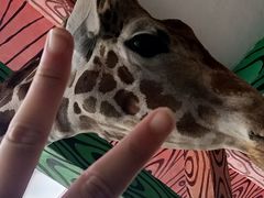-贵州森林野生动物园