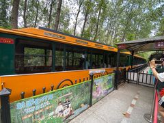 -合肥滨湖国家森林公园