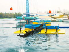 -秦皇岛乐岛海洋王国