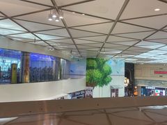 -海底捞火锅(龙岗星河COCO Park店)