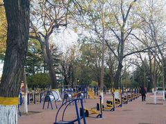 -大兴滨河森林公园